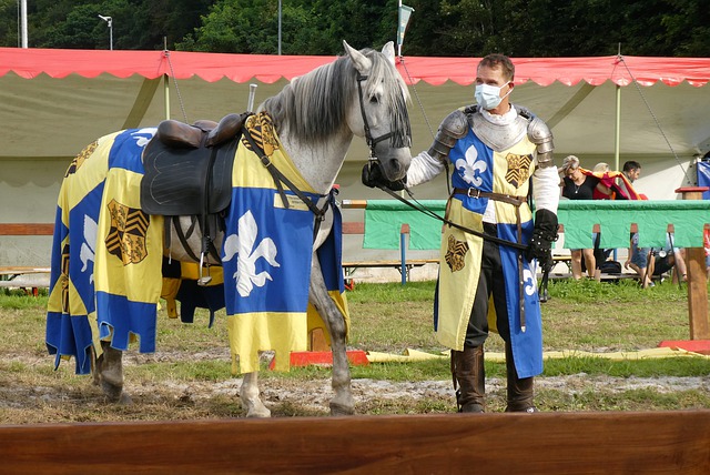 他如同球队 他如同球队