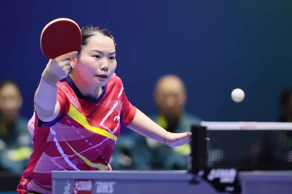 他们有望在 他们有望在