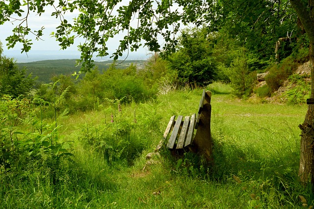 化学反应不 化学反应不