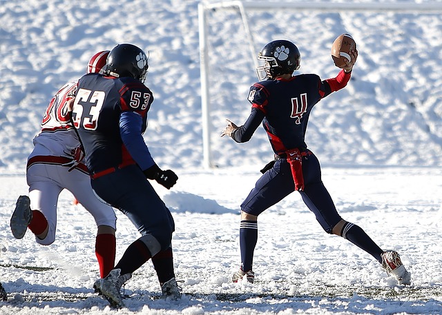 球展示出国 球展示出国