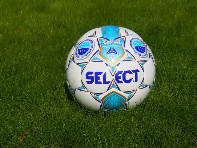 样的特点 样的特点